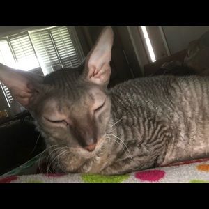 Meet your Posher, Casandra